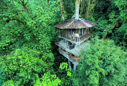 Finca Bellavista is a tree house community in Costa Rica