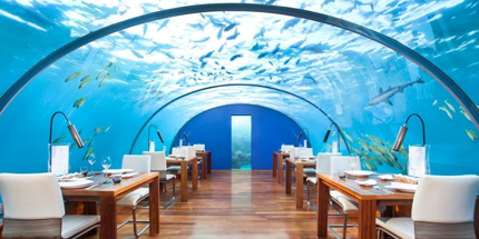 Ithaa Restaurant turns the aquarium theme on its head 