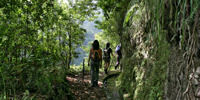 Levada