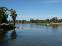 Murray river