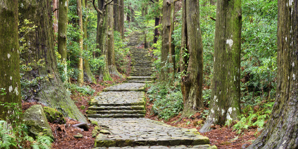 Rediscover your spirituality with a trek through the Japanese mountains