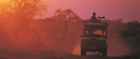 Relax on a luxurious African safari 