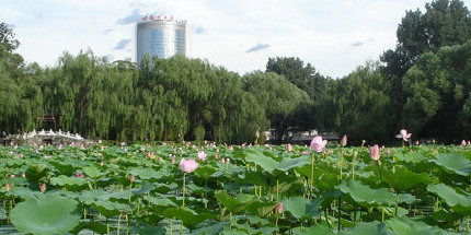 View of the city from Zi Zhu Yuang Park