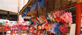 Flower Stall, Johannesburg