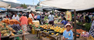 Get stuck into Ecuador's foodie culture, with a trip to the market