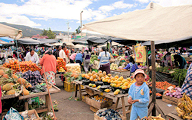 Get stuck into Ecuador's foodie culture, with a trip to the market