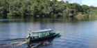 Board a boat tour in Manaus and discover the Amazon