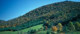 Blue Ridge Mountains, North Carolina