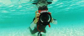 Enjoy diving in Palau