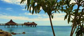 Le Roof, New Caledonia