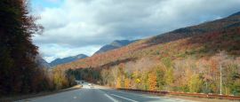 New Hampshire foliage