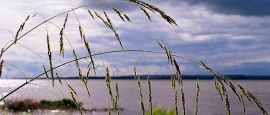 Rio Parana in Paraguay