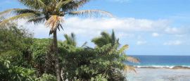 The far east of Tonga