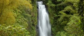 Trafalgar Falls, Dominica