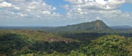 View of the Amazon jungle from the summit of Mt Volzburg in Suriname