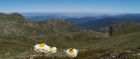 Kosciuszko National Park, New South Wales
