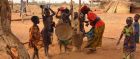 Niger pilage du mil