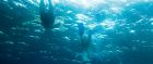 Scuba Diving in Samoa